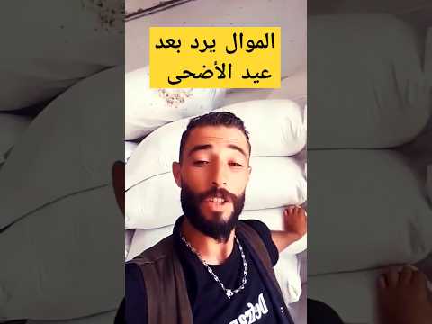 الموال يرد بفيديو ساخن على الشعب بعد عيد الأضحى العيد 2024