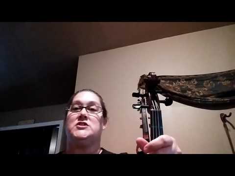 Book 1 Song 2 Let's play open D video#3
