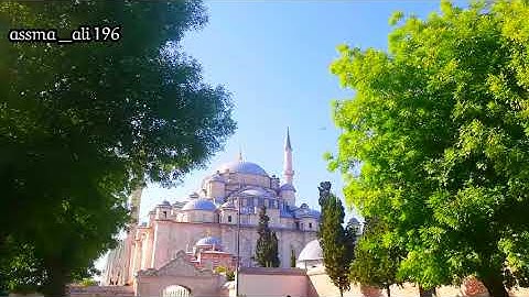 (إنما يعمر مساجد اللّٰه من آمن بالله) بصوت القارئ الشيخ ياسر الدوسري 💕