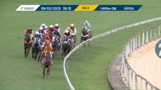 Vidéo de la course PMU GRANDE PREMIO HENRIQUE POSSOLO