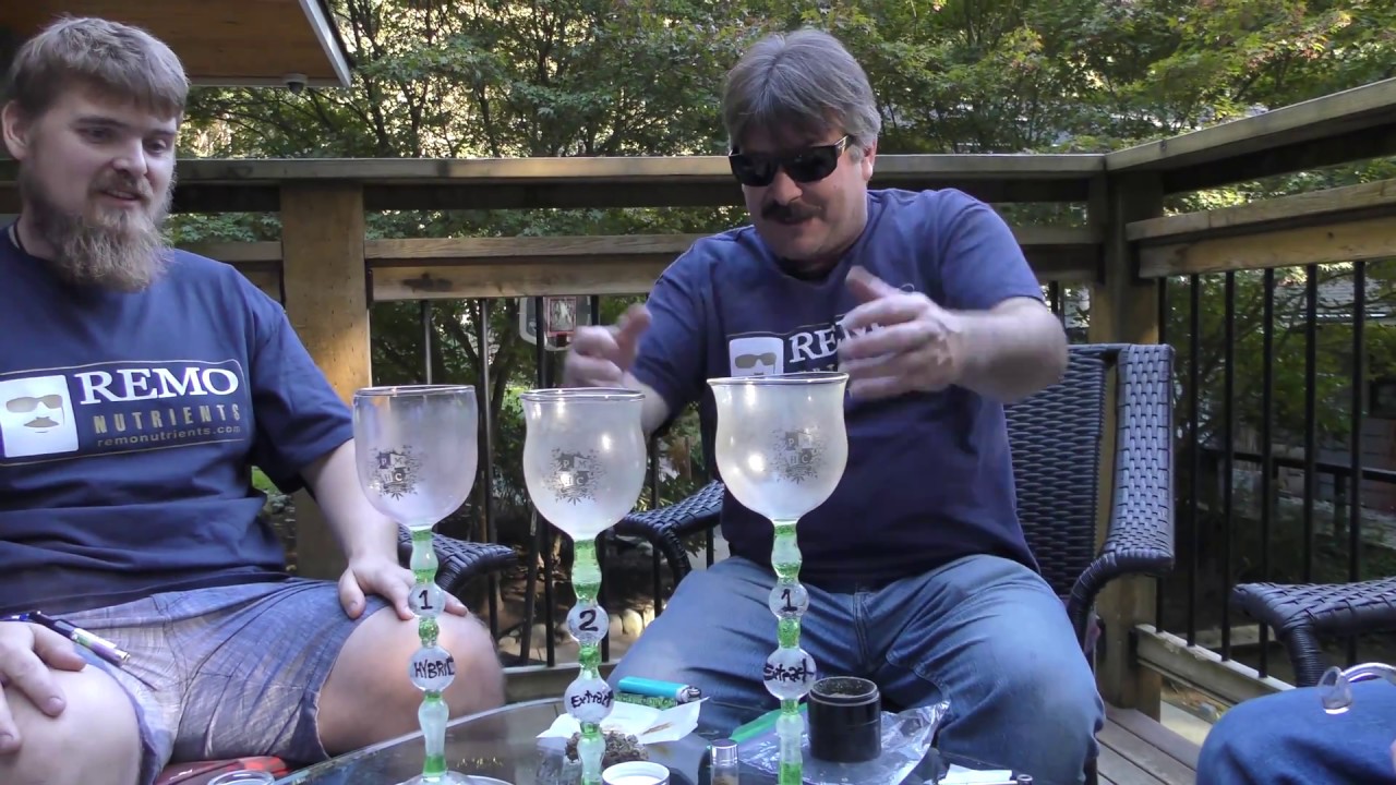 Supercharged Prairie Medicinal Harvest Cup Celebration Sesh