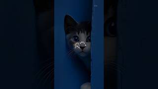 Etti Paatha Paakadha Paakadha Song Love Whatsapp Status