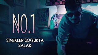 No.1 - Sinekler Soğukta Salak (Mavi Dolunay Cover) Resimi