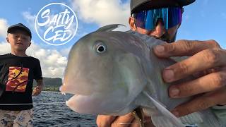Fishing soft baits screenshot 4