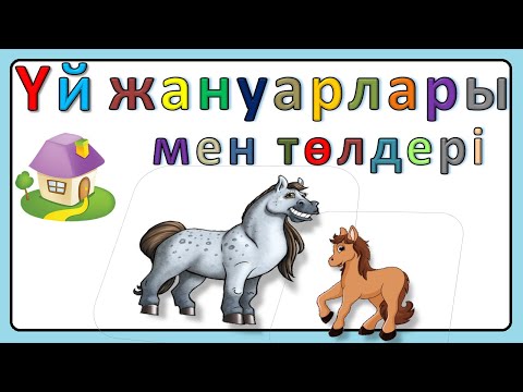 Бейне: Сіз үй жануарлары ретінде крауданы ұстай аласыз ба?