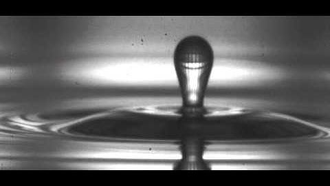 High-Speed Imaging of Drops and Bubbles: Supplemental Video 1
