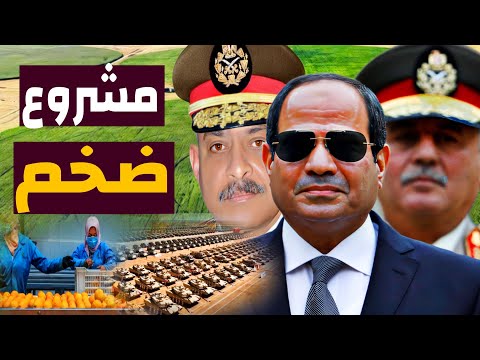 تقرير خط ير الجيش المصري يعلن البدء في مشروع زراعي ضخم لزيادة الصادرات الزراعية بهذا الرقم