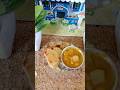 paratha#miniaturecooking #miniaturerecipes #realkitchen #