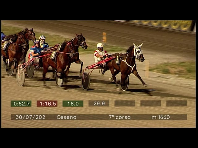 2024 07 30 | Corsa 7 | Metri 1660 | Premio Formaggio Di Fossa Dop Cesena