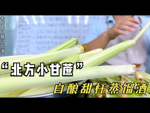 “北方小甘蔗”自酿甜秆蒸馏酒，用80后的童年零食酿酒是什么体验