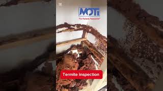 Termite inspection, colonies, infestation and treatment in Uganda 2026