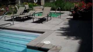 Colorado Pointe Apartments - Denver - Pool