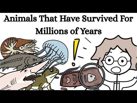 Animals That Have Survived For Millions of Years