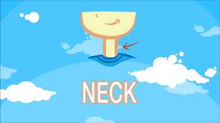 بكلمات عربي انجليزي - اسماء اعضاء جسم الانسان بانجليزي | رقبة - Neck