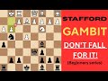 They Keep Falling for This Opening Trap… Don’t Be Next! (Stafford Gambit)