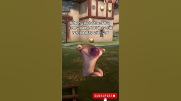 When You Bottom Frag but Duo Still Want to Play