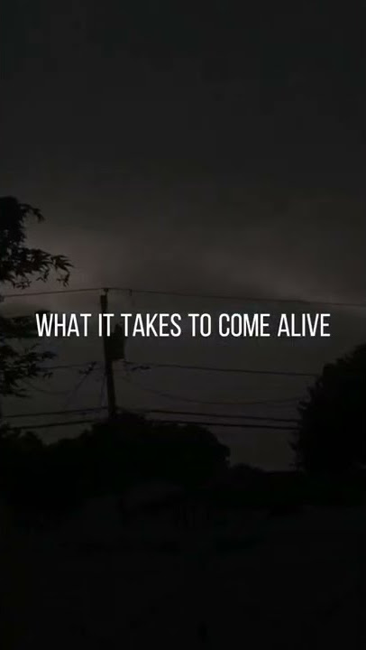 it's the way I'm feeling 🥰 Rihanna - We Found Love Lyrics #shorts #ytshorts #lyrics #lyricsstatus