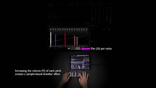 GranuRise Roli Blocks Integration
