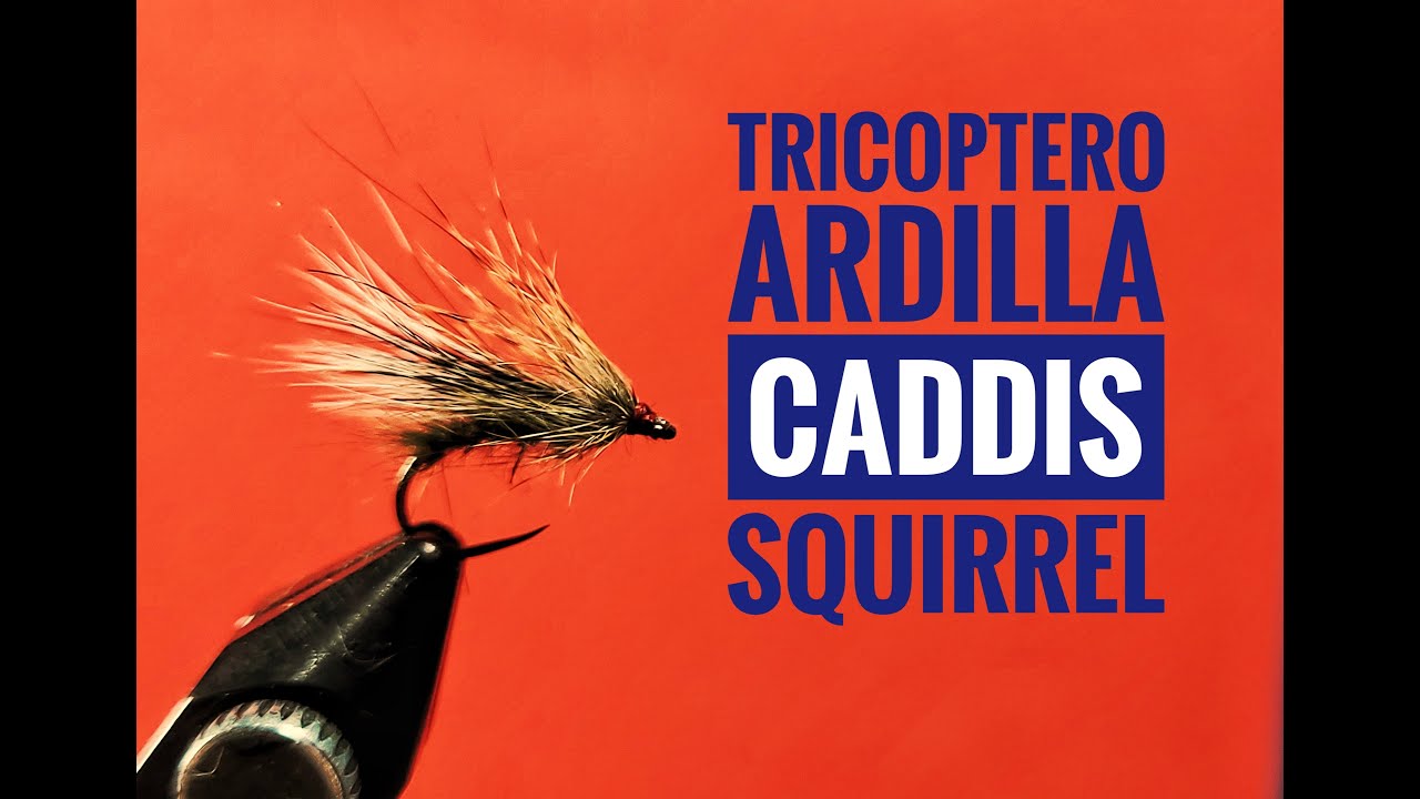 Tricoptero de ardilla - Caddis Squirrel montaje de mosca seca paso a paso