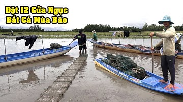 CÁCH BẮT CÁ BẰNG 12 CỬA NGỤC Ở MIỀN TÂY MƯU SINH MÙA MƯA BÃO - CATCH THE FISH
