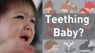 Do Teething Babies Need Medicine on Their Gums? No