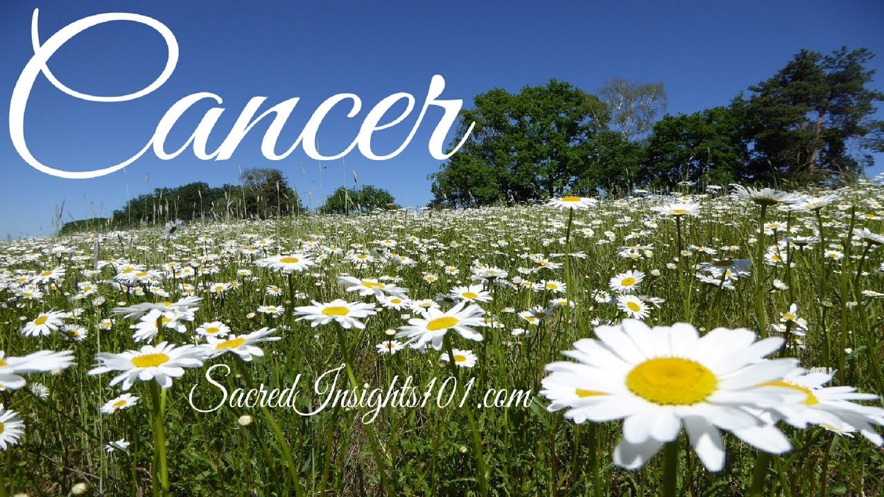 Cancer June 2019 - Spirit Has A Plan