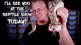 I'll see you at the 'Colorado Reptile Show' TODAY!