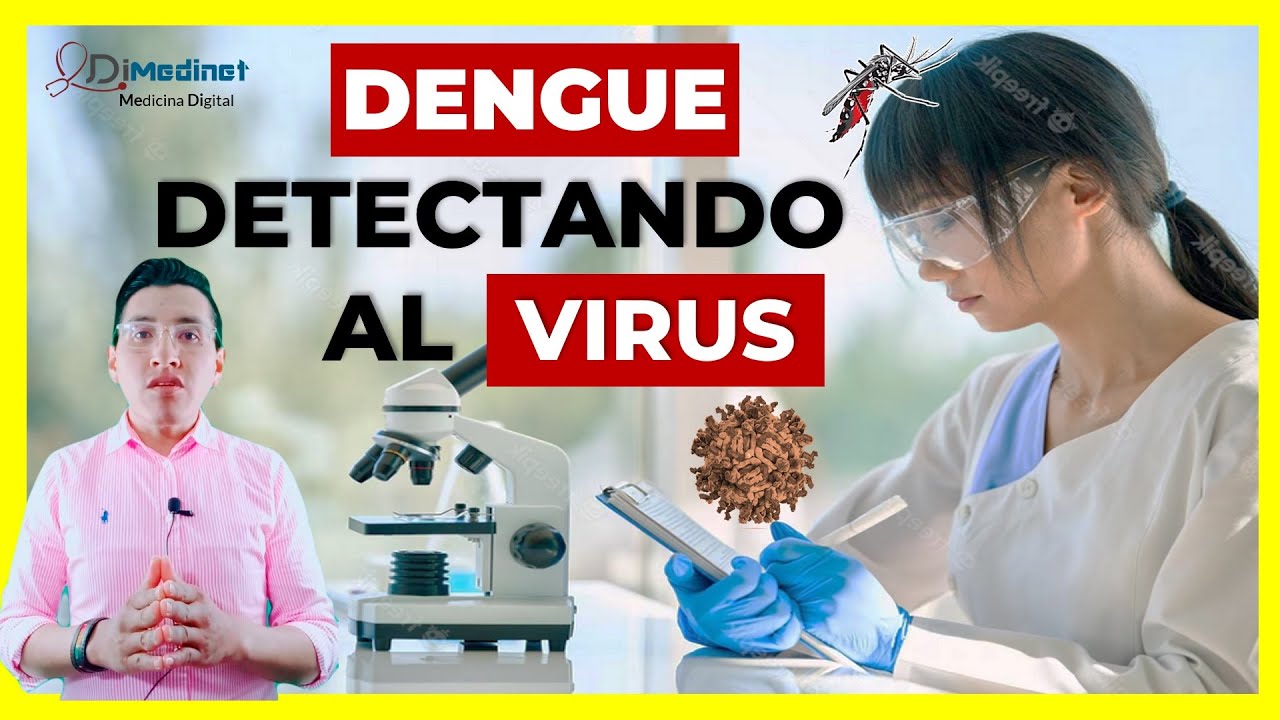 🟢 DIAGNÓSTICO DE DENGUE | ¿CÓMO SABER SI TIENES DENGUE?🦠🧪🔬 - YouTube