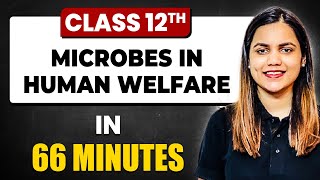 MICROBES IN HUMAN WELFARE in 66 Minutes | Biology Chapter 10 | Full Chapter Revision Class 12th