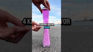 Allah Katında En Değerli 4 Kelime.