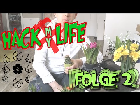 ⚒ Hack My Life - Folge 2 ⚒ HAMMER IDEE! 😉 🎓 von ka5i