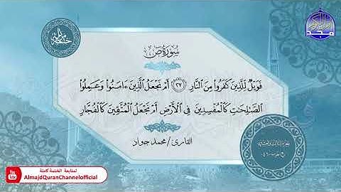 الختمة المرتلة الكاملة 🟢 سورة ص 🟢 القارئ محمد جواد 🟢 قناة المجد للقرآن الكريم 🟢 HD