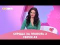 Сердца за любовь 43