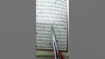 ماذا  قالت النملة عندما رأت  سيدنا سليمان وبما رد سيدنا سليمان عليها  #قران #سورة النمل