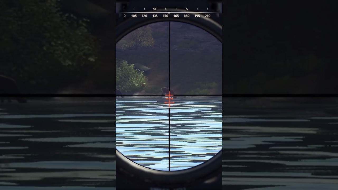 Testing out the Steyr SSG M1 