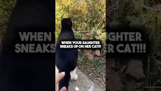 The Cat Got A Fright