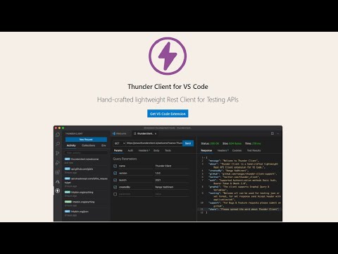 Thunder Client, a Postman alternative client for VS Code