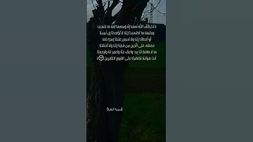 خواتيم سورة البقرة الآية ٢٨٥ و٢٨٦ || القارئ الشيخ #سعود_الشريم