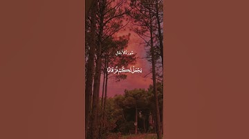حالات واتس  أب قرآن كريم 💞سورة الأنفال |تلاوة مؤثرة بصوت جميل Quran Status ⚘️ ♥️