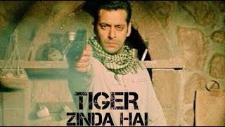Tiger Zinda Hai box office collection in Day 5