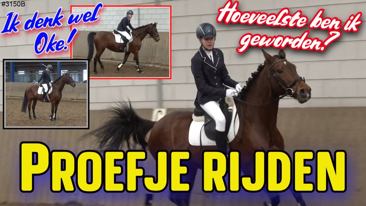 Hoe verloopt mijn PROEFJE vandaag. Ik rij op BAMBI. Eind van de middag