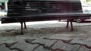 Estagnação Na Praceta Da Sobreira