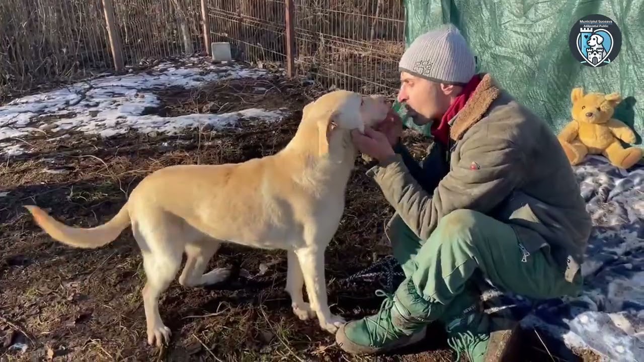 Elisabeth- Adăpostul Public Suceava