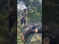 Easy cut with stihl chainsaw