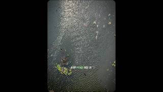 NEVER LOSE HOPE | Trust in God #trust #hope