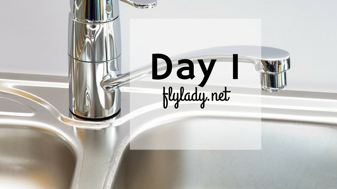 Flylady babysteps day 1 in hindi