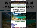 Saif Malook Vally 😍 #shahidalyofficial​ #family​ #shorts​