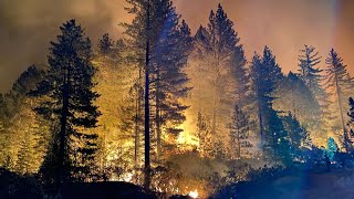 California Wildfires: Mosquito Fire grows to more than 60,000 acres