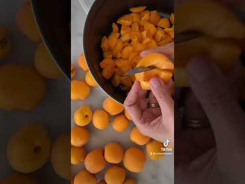 #Shorts Two Ingredient