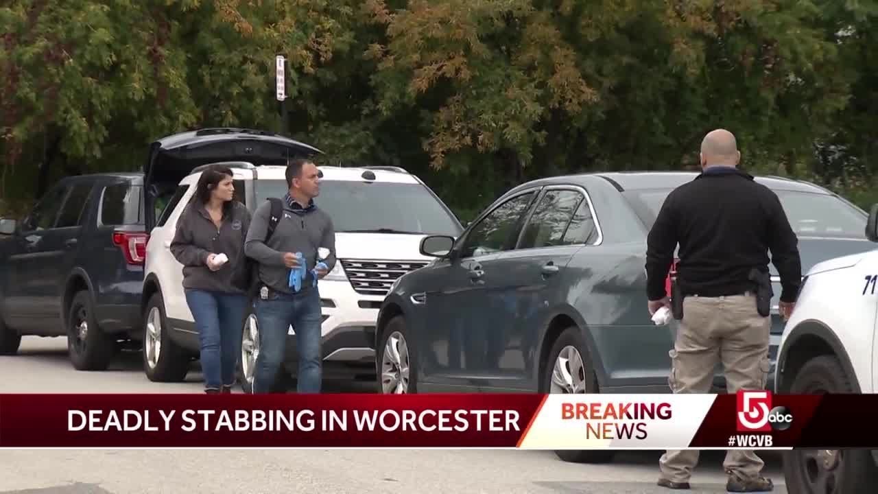 Police investigate deadly stabbing